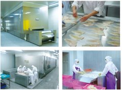 隧道沖擊式板帶速凍機速凍設備