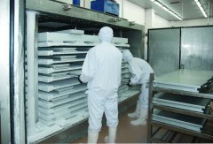 泰州臥式平板速凍設備安裝