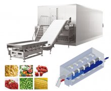 流態化速凍機安裝