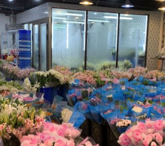 琪玉制冷設備鮮花冷庫工程安裝